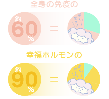 全身の免疫の60％と幸福ホルモンの90％を腸が生産すると言われています。
