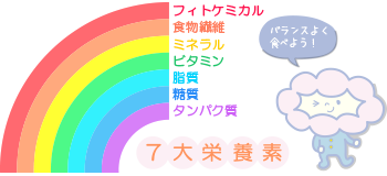 7大栄養素図